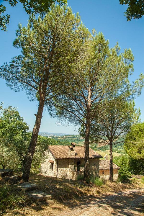 Agriturismo Bio Tra Cielo E Terra Apartment Grutti Exterior photo